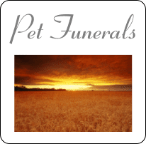 Pet Funerals